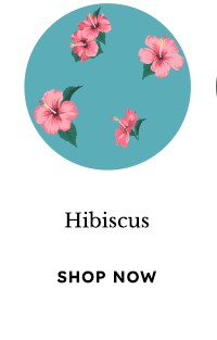 Hibiscus