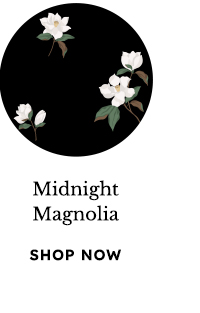 Midnight Magnolia