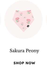 Sakura Peony