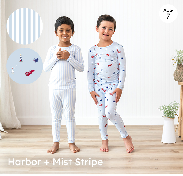 Harbor + Mist Stripe