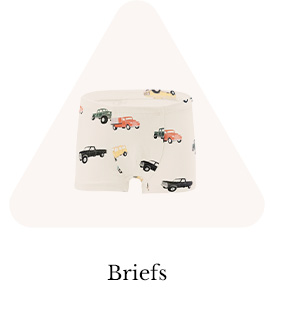 Toddler Briefs