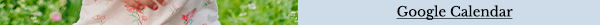 Google Calendar