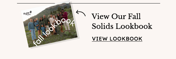 Fall Solids Lookbook