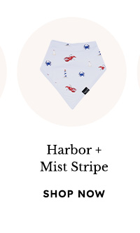 Harbor + Mist Stripe