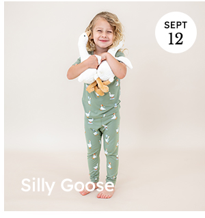 Silly Goose