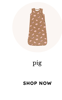 pig