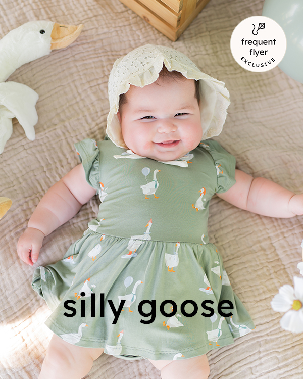 Silly Goose