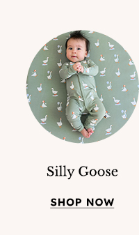Shop Silly Goose
