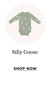 Shop Silly Goose