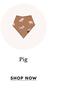 Shop Pig