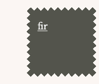 Shop Fir