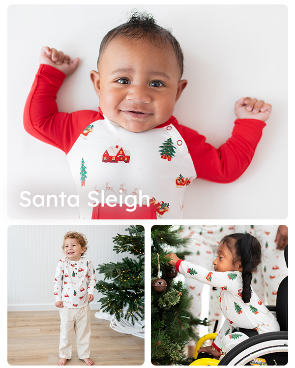 Santa Sleigh