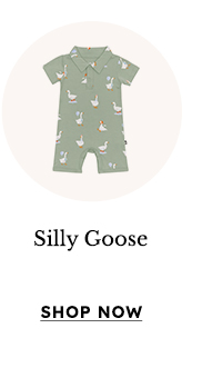 Shop Silly Goose