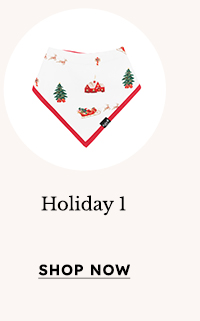 Shop Holiday 1