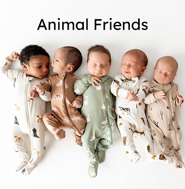 Animal Friends