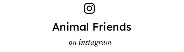 Animal Friends on Instagram