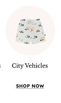 City Vehicles