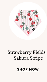 Strawberry Fields + Sakura Stripe
