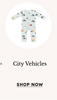 City Vehicles
