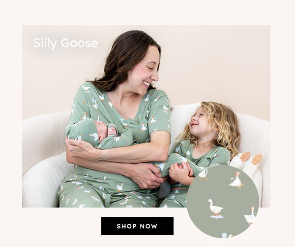Silly Goose