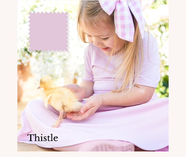 Shop Thistle