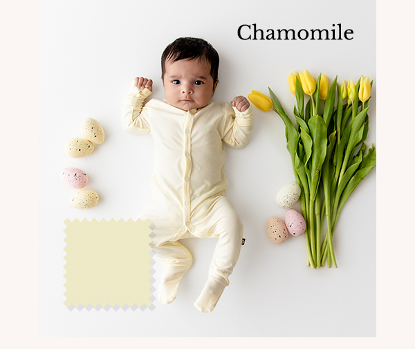 Shop Chamomile