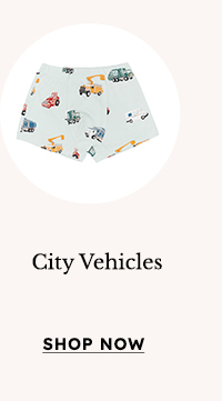 City Vehicles