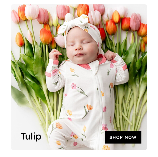 Tulip