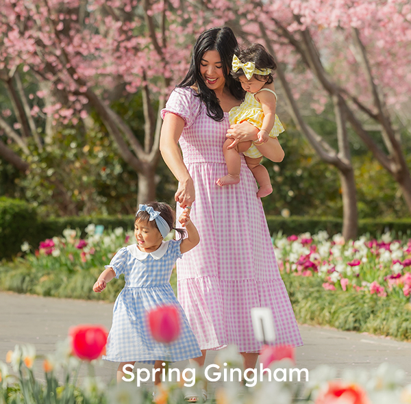 Spring GIngham