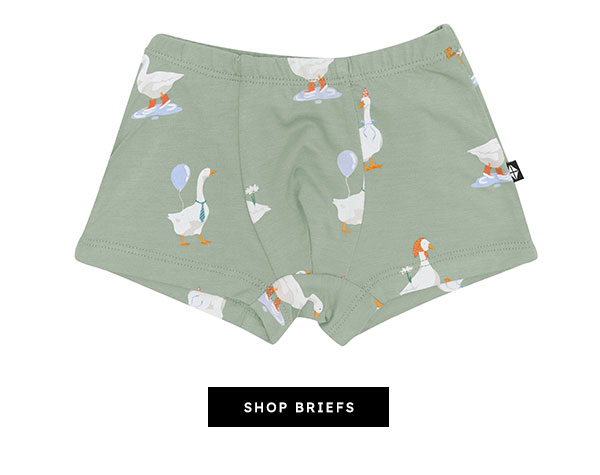 Shop Briefs