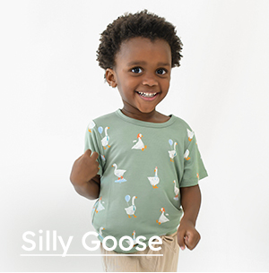 Silly Goose
