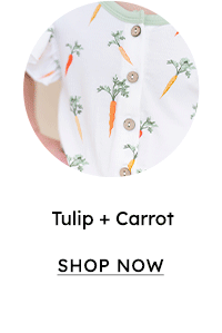 Tulip + Carrot