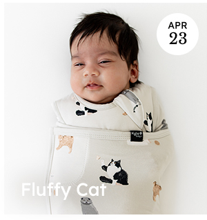 Fluffy Cat