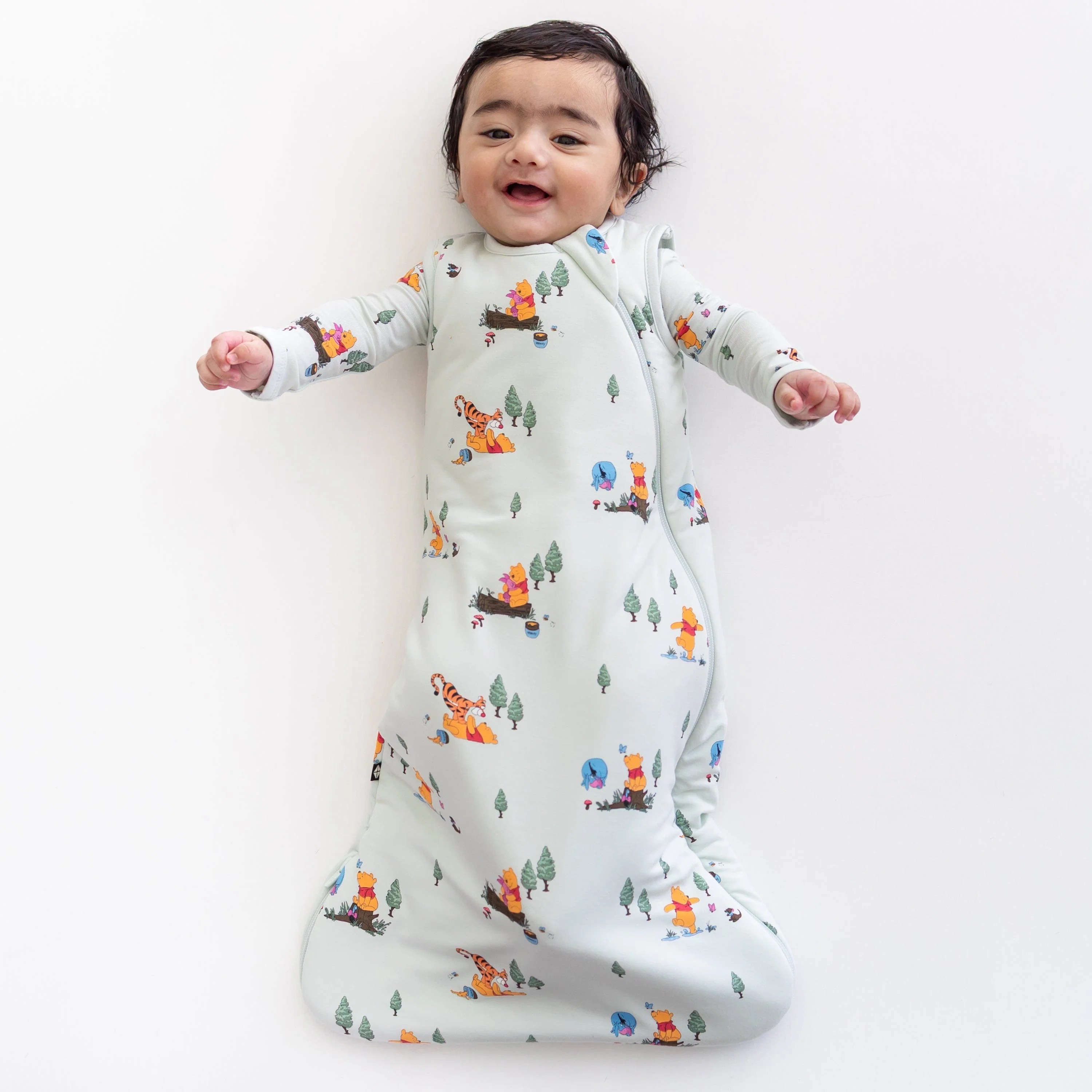 Image of Sleep Bag in Winnie the Pooh Hundred Acre Wood 1.0