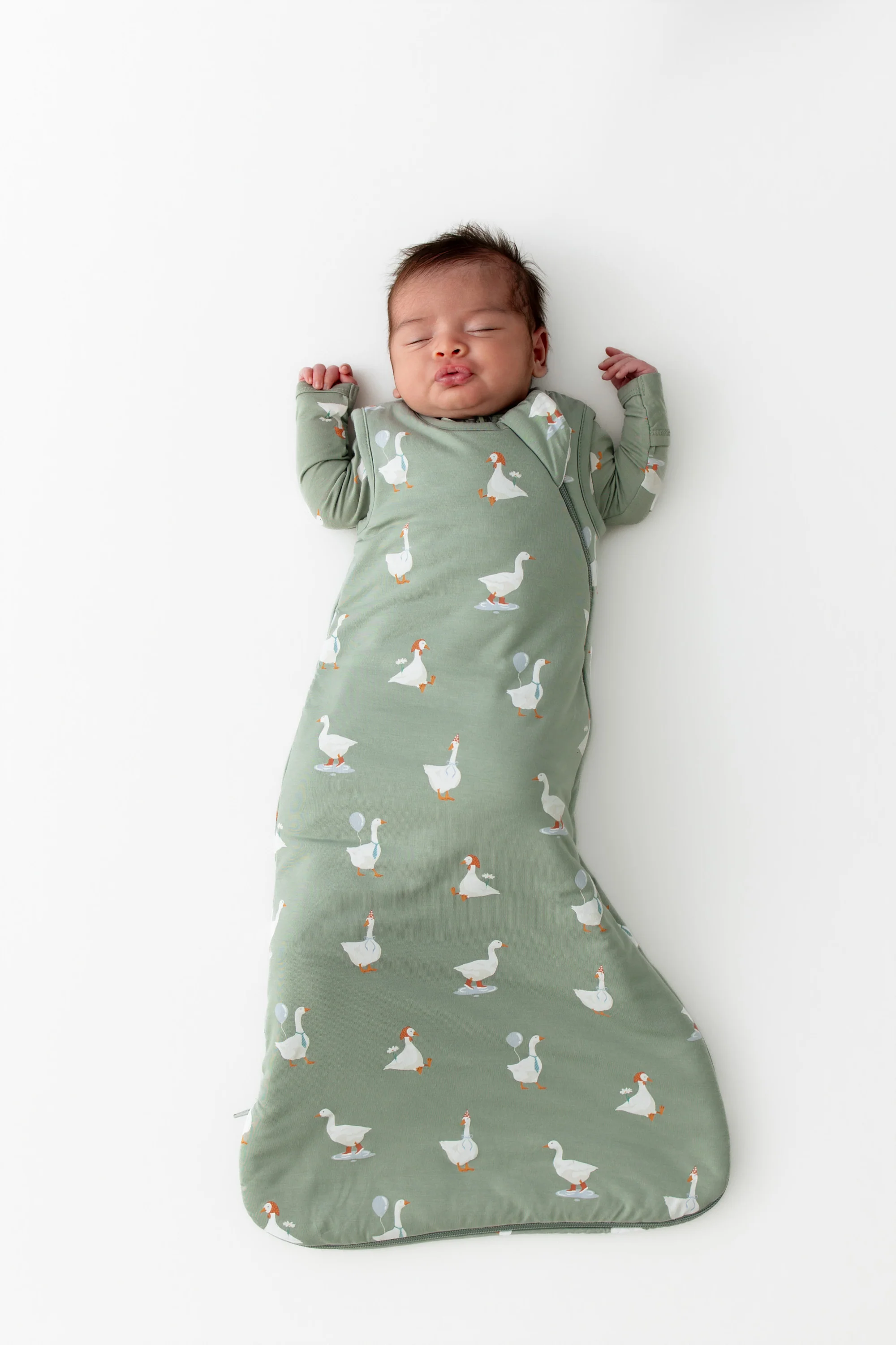 Image of Sleep Bag in Silly Goose 1.0