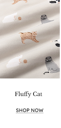 Fluffy Cat