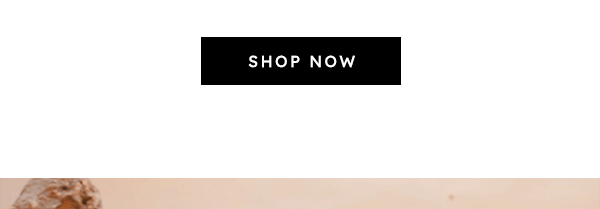 Shop Now GIF