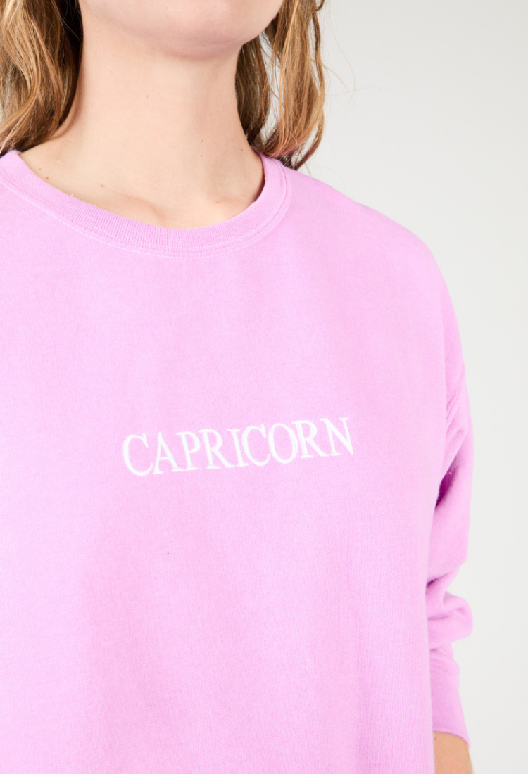 ZODIAC SWEATSHIRT