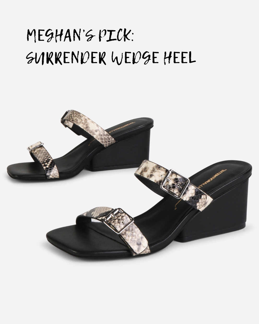 SHOP SURRENDER