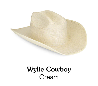 Shop the Wylie Cowboy Hat