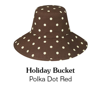 Shop the Holiday Bucket - Polka