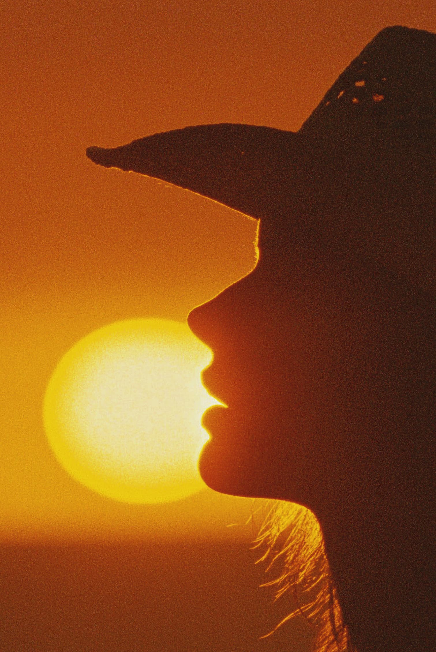 Shop the Wylie Cowboy Hat