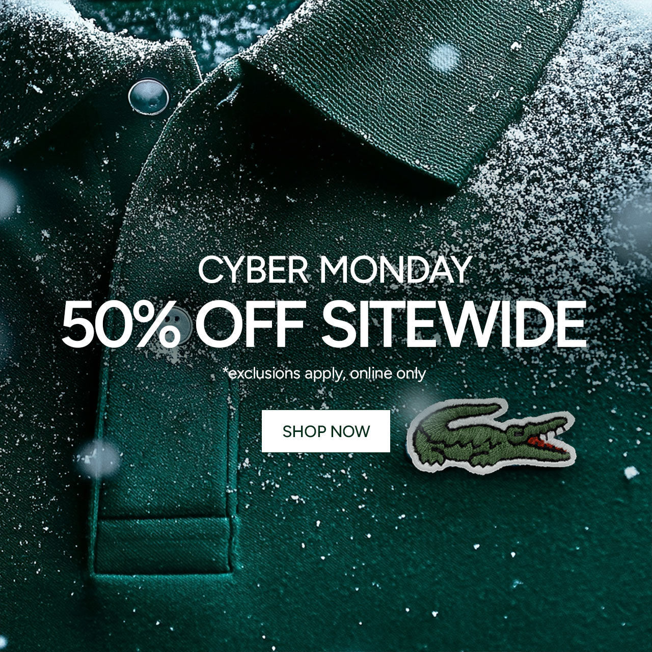 Cyber Monday, 50% off sitewide*