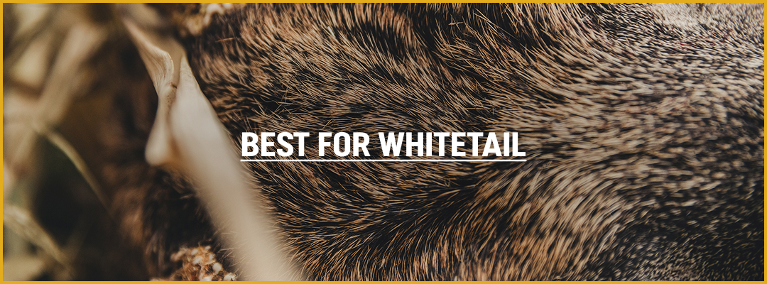 Best for Whitetail