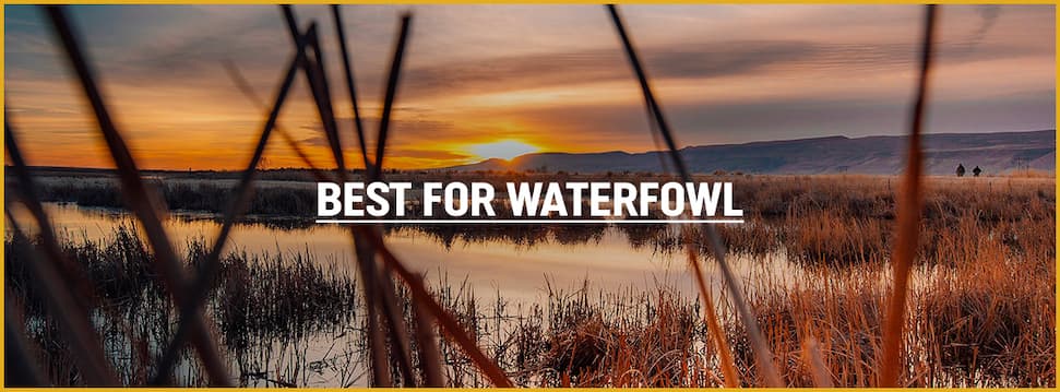 Best for Waterfowl