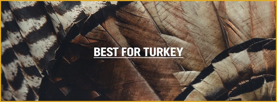 Best for Turkey
