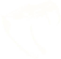 Snake Guard icon