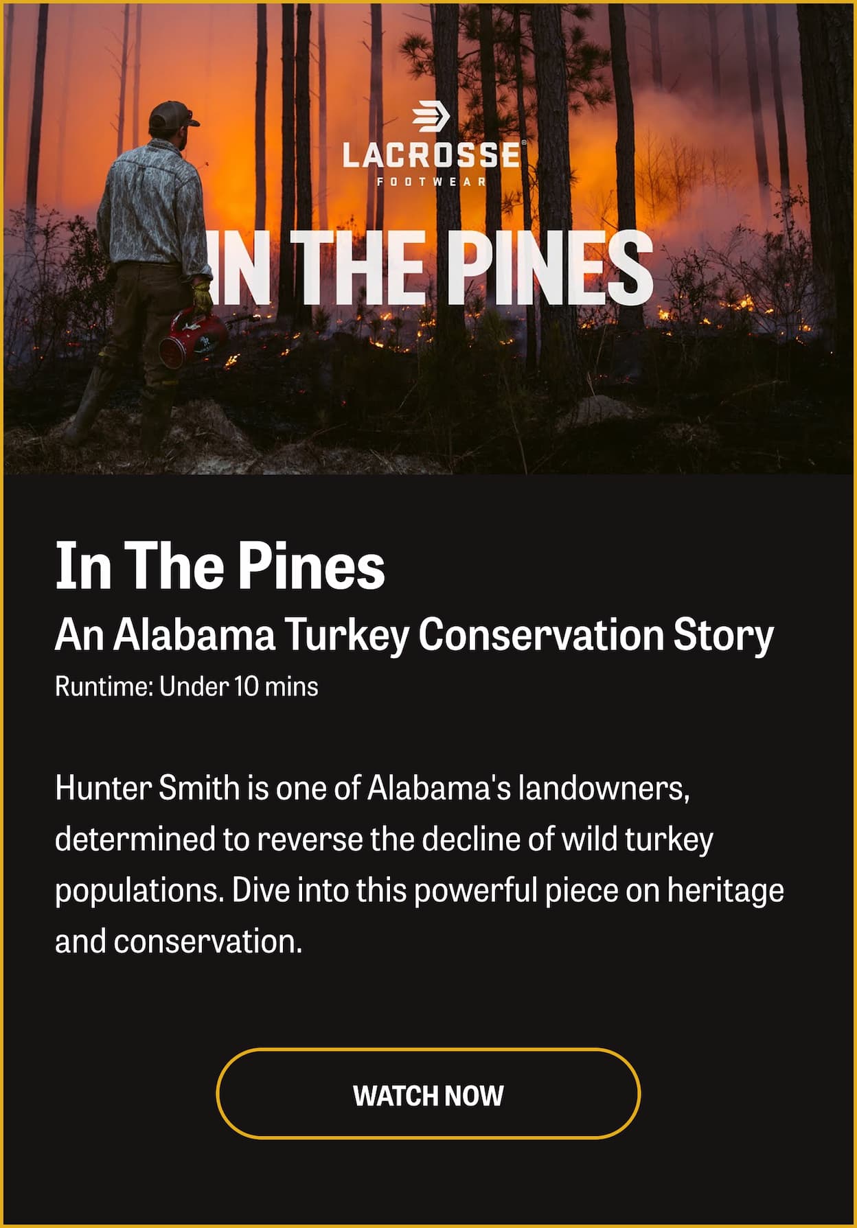 In The Pines - An Alabama Turkey Conservation Story. Runtime: Under 10 minutes. Description: Hunter Smith is one of Alabama's landowners, determined to reverse the decline of wild turkey populations. Dive into this powerful piece on heritage and conservation.
