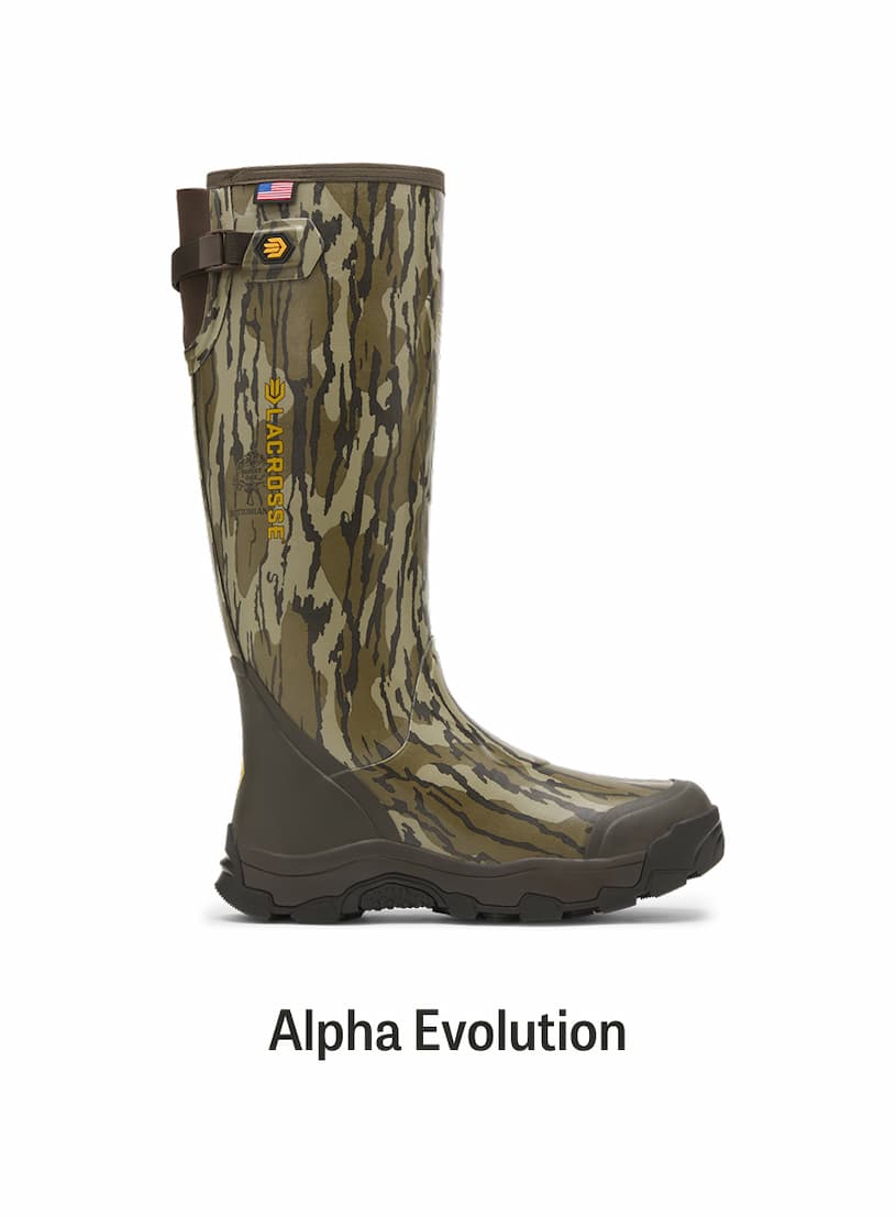 Alpha Evolution