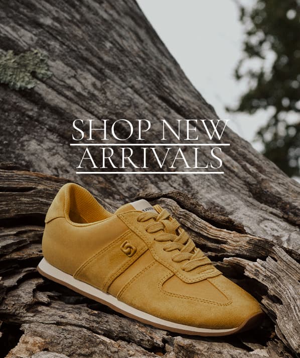 new arrivals